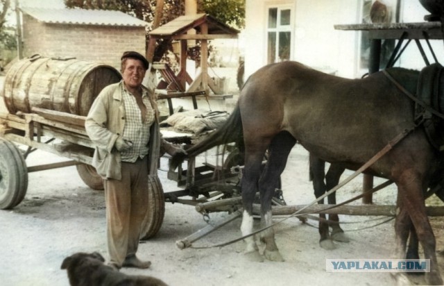 Советские люди в 1950 - 60-х годах