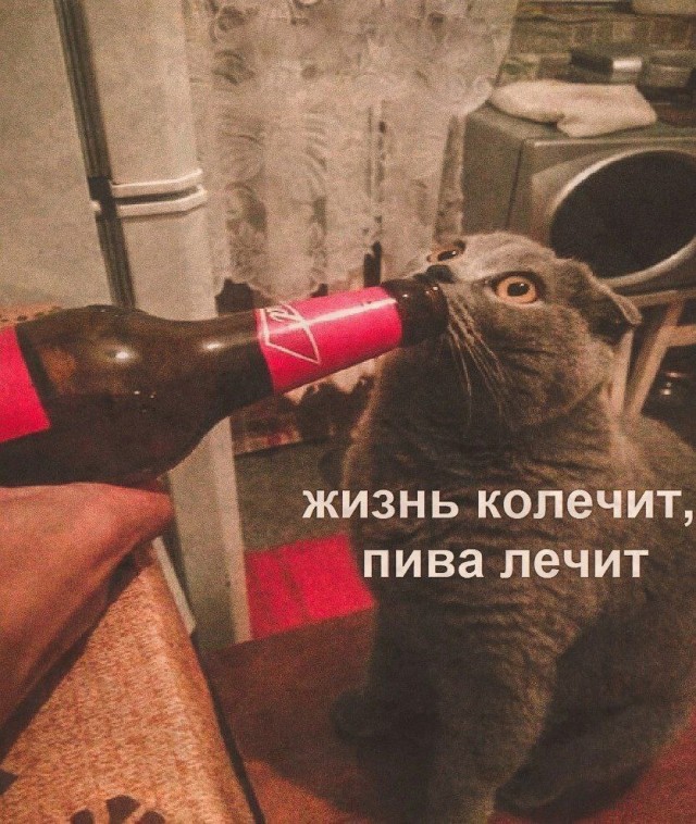 Суперкрепкое пиво с 26% алкоголя появилось в России