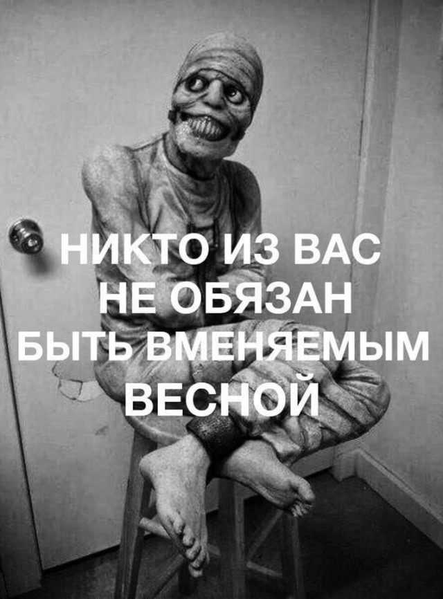 Так себе картинки 01.03.25