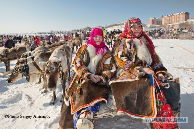 Красота! Лето на Ямале. Фото