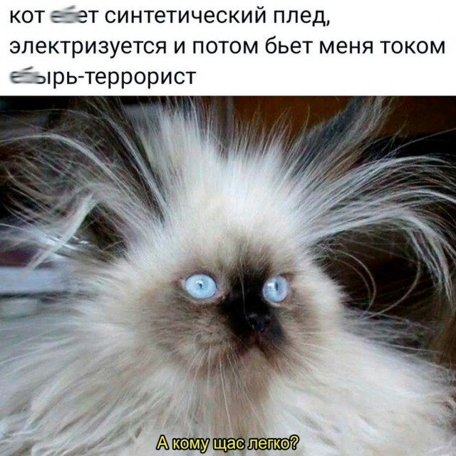 Так себе картинки 29.04.25