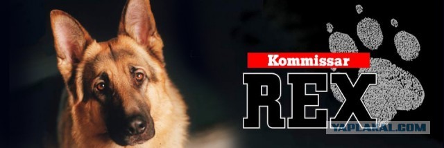 Как я ходил на концерт Бори Моисеева