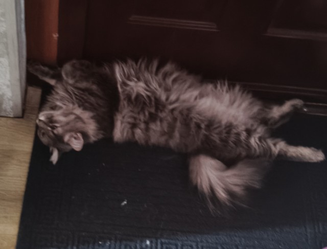 Его первый вторник