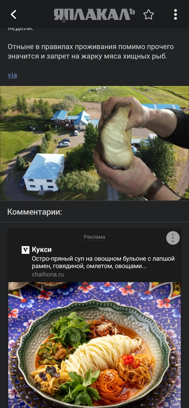 В Исландии туристы пожарили мясо акулы, из-за чего был эвакуирован весь гостевой дом