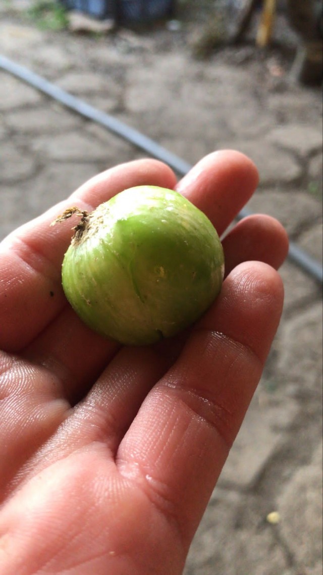 Вопрос знатокам