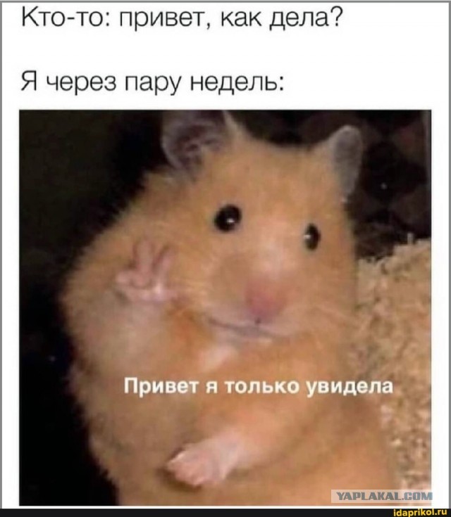 Веселое настроение в картинках (07.10.2025)