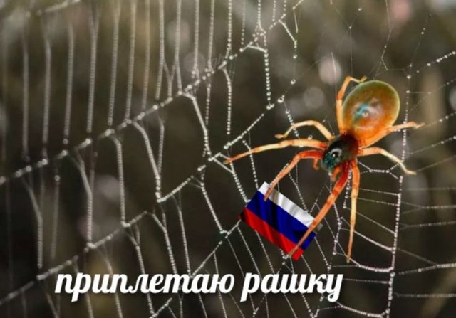 Квантовый чип превзошёл классические компьютеры в 13 000 раз