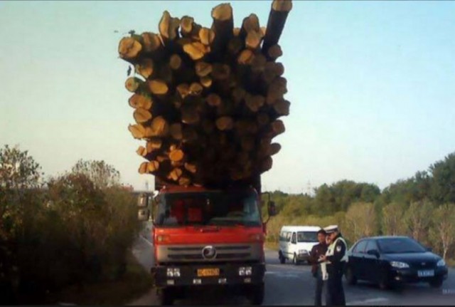 Эй пацанчик, угадай какой фильм я люблю?!