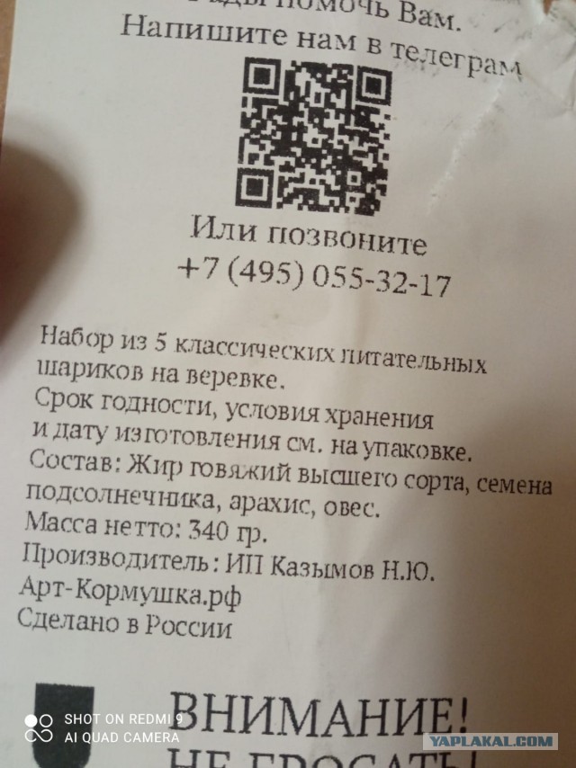 Кормление синиц