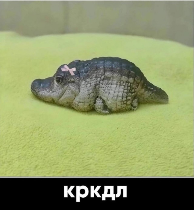 Дегрономикон 7