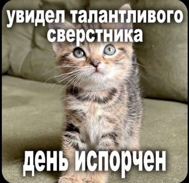 Так себе картинки 13.12.25