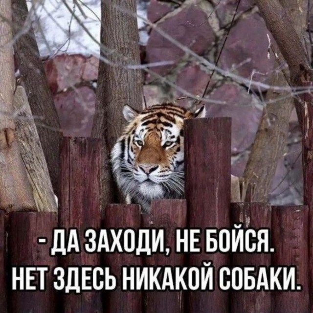 Деградация