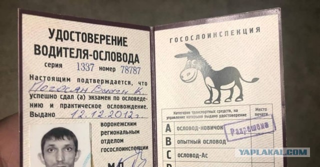 В Москве задержали мигранта с пятью поддельными паспортами.