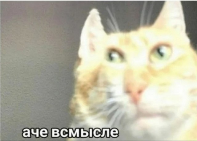 Салат для таролечниц своими руками