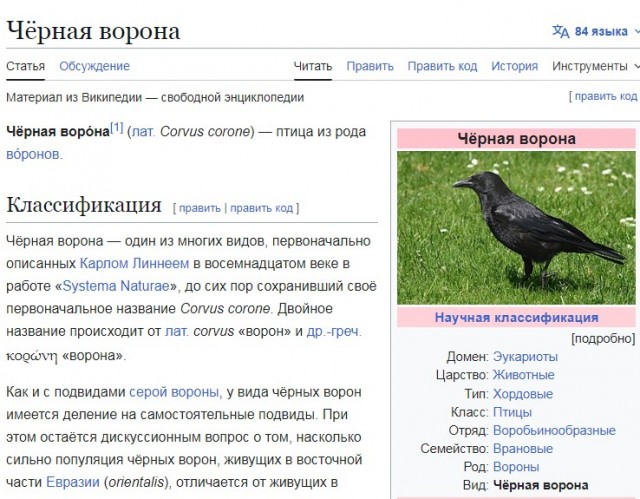 Веселые картинки в пятницу (24.04)