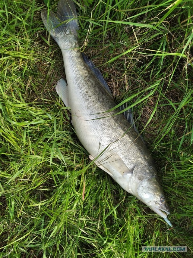 Изготавливаю на заказ рыболовные спиннинговые приманки (блесны-пилькеры).