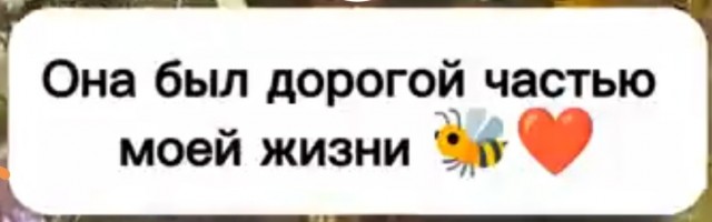 Мохнатка без крыла