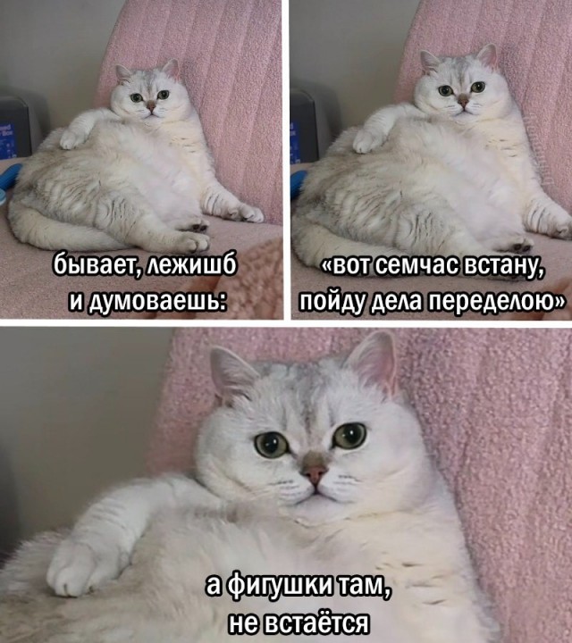 Есть только один способ избежать критики: ничего не делать, ничего не говорить и быть никем.