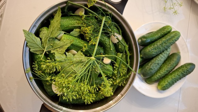 Соль для засолки огурцов, кто какую использует?