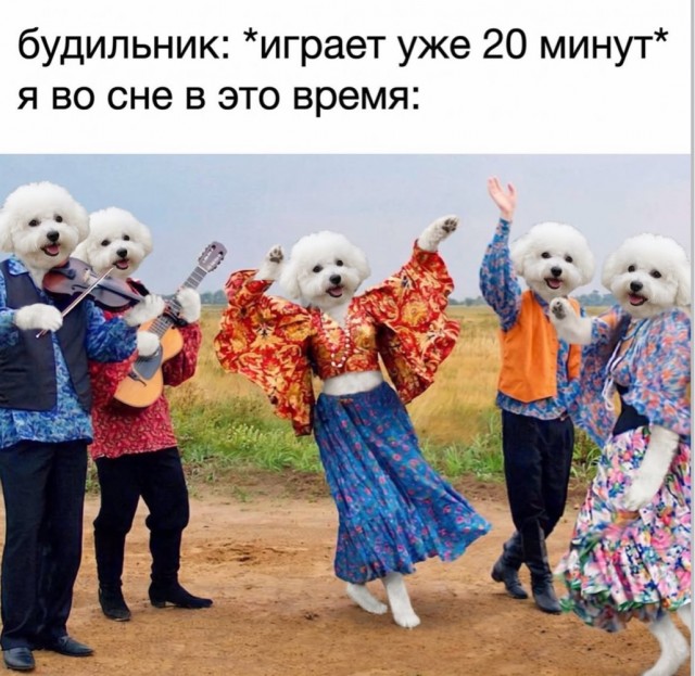 Веселое настроение в картинках 13.08.26