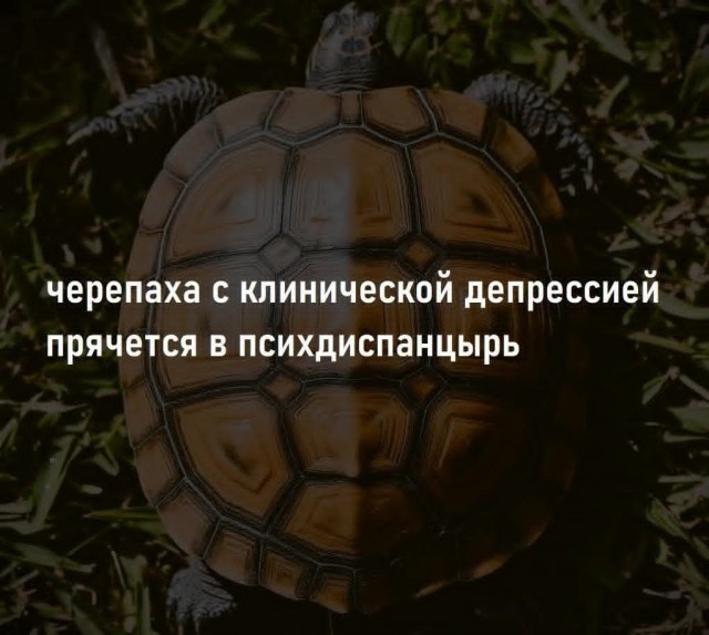 Картинки для деградации 310 (разной степени свежести)