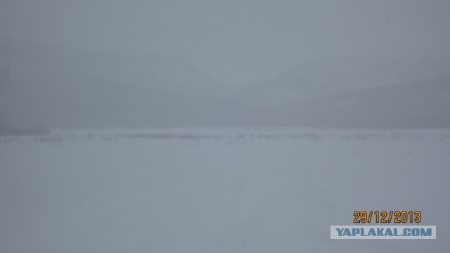 Пурговое