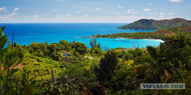 Как я съездил на Сейшелы