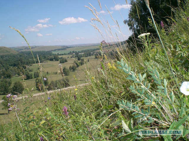 Природа Башкирии