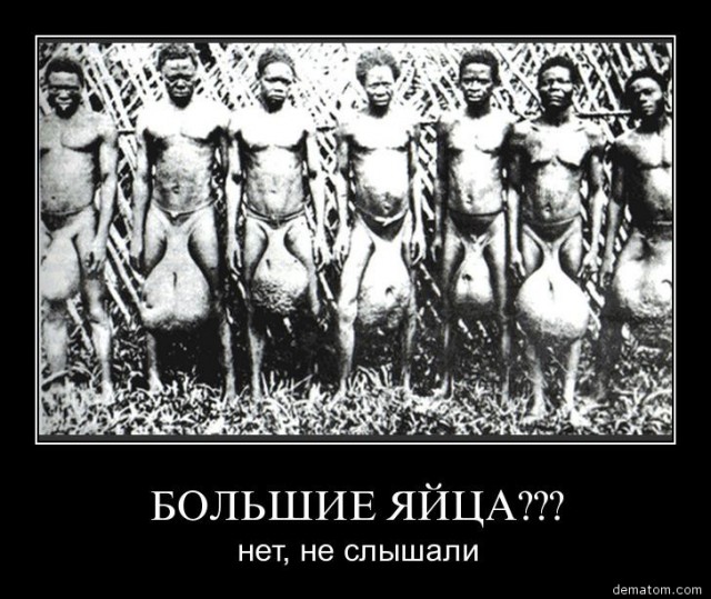 Роковые яйца