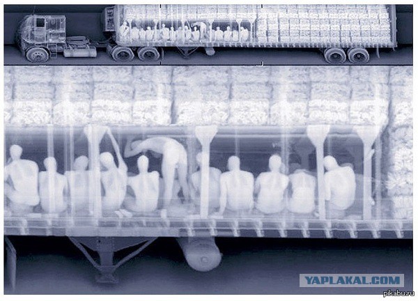 На таможне просветили фуру...