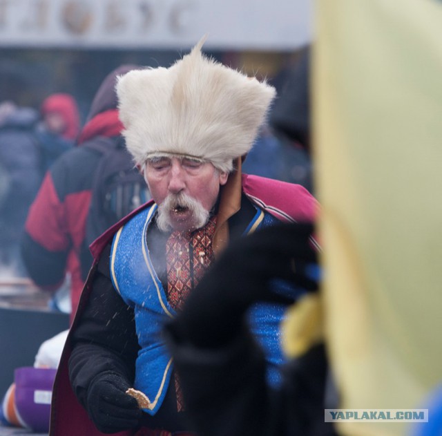 Это они выскакали десятки тысяч трупов