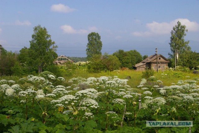 Есть ли жизнь за МКАД-ом?