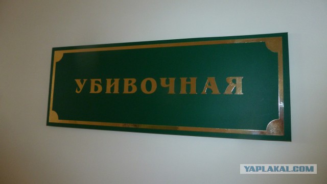Казусы жизни