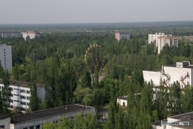 25 лет Чернобыльской Аварии