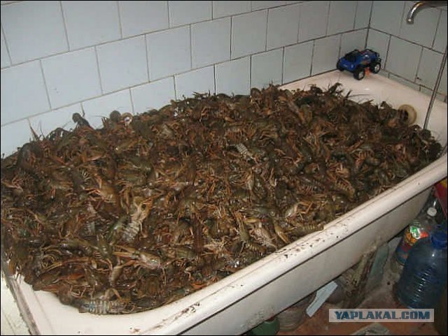 Какие продукты уникальны для Вашего региона?