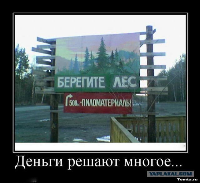 Особенности бизнеса в сельской местности