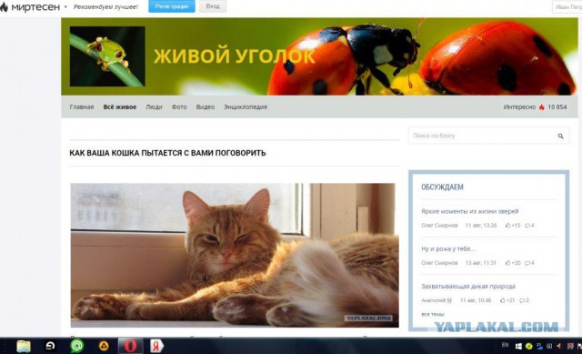 Что именно крадет у пользователя Windows 10.