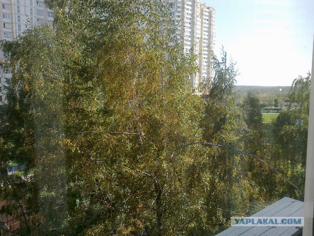 Сдам однушку в Москве. В ЮАО.