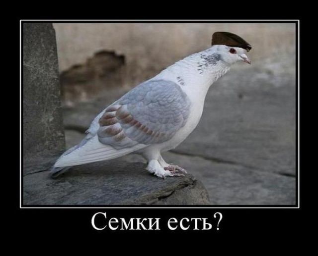 Подборка картинок