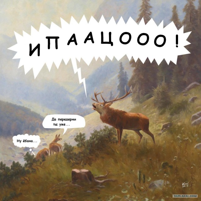 15 лучших кадров января от National Geographic