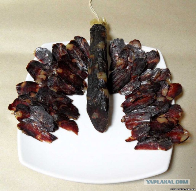 Жив, цел, конь!