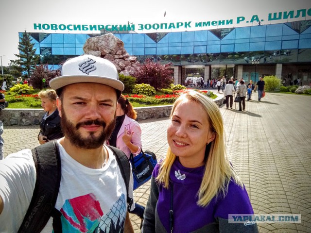 Смелые ЯПовцы.