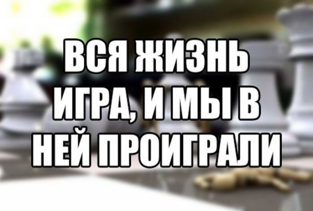 Порция картинок из сети