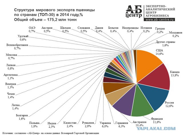 Куда столько? Россия возвращает себе мировое лидерство в экспорте зерновых