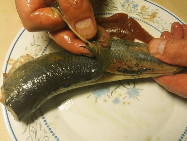 Форшмак из селедки (классический)