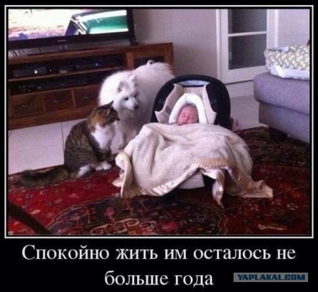 «Люди постоянно спрашивают, каково иметь трех детей. Я ответила с помощью фотографий»