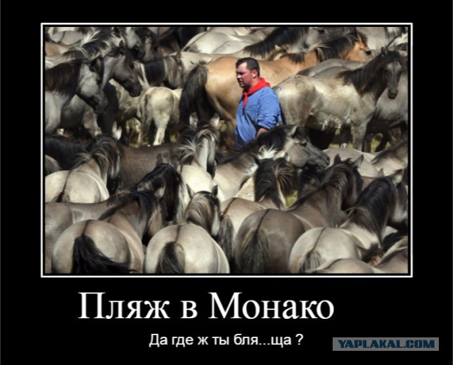 Собчак предложила оградить Монако от бедных туристов