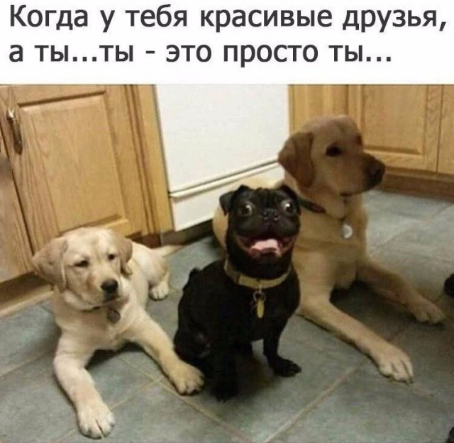 Подборка интересных и веселых картинок