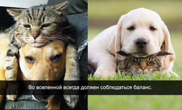 Подборка интересных и веселых картинок