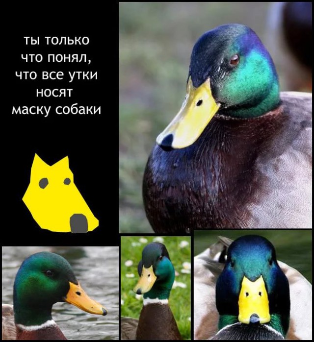 Вам больше никогда не развидеть этого